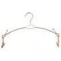 10pcs Rose Gold Metal Clothes Hanger with Clothespins Clip, Bra Underwear Lingerie Panties Drying Rack Hanger Hook Decoration 10pcs Rose Gold Metal Clothes Hanger with Clothespins Clip, Bra Underwear Lingerie Panties Drying Rack Hanger Hook Decoration