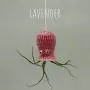 Small Hanging Octopus Air Plant Hanger