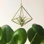 Hanging air plant holder, mobile Himmeli, gold plant hanger, air plant geometric planter, airplant display, home decor gift, octahedron 01 Hanging air plant holder, mobile Himmeli, gold plant hanger, air plant geometric planter, airplant display, home decor gift, octahedron 01