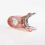 Big Clip Space Aluminum Drying Quilt Clothespin Small Sun Quilt Hanger Windproof Clip Is Clipped Large Clothes Drying Clip2Pack