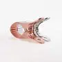 Big Clip Space Aluminum Drying Quilt Clothespin Small Sun Quilt Hanger Windproof Clip Is Clipped Large Clothes Drying Clip2Pack