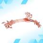 TOPBATHY 10PCS Anti-Slip Clothes Hangers Thickened Undewear Hanger Clip Hangers for Home Shop (Rose Gold) TOPBATHY 10PCS Anti-Slip Clothes Hangers Thickened Undewear Hanger Clip Hangers for Home Shop (Rose Gold)
