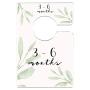 Mumsy Goose Nursery Closet Dividers Greenery Baby Clothes Dividers Botanical Closet Organizers