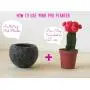 Hanging planter/Macrame plant hanger/Beige Felt planter/air plant vase/modern home decor/CHOOSE YOUR COLOR