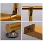Yimaojia Single Rod Drying Rack Floor Simple Clothes bar Indoor Drying Rack Bedroom Cool Hanger Hanger Shelf (Color : Gold)