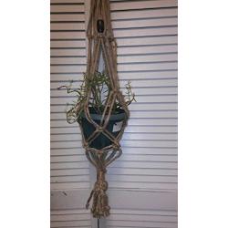 Natural Jute Plant hanger