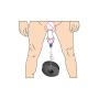 [3-in-1] Pro+Vacuum Pên ?s Extender-System Plus Belt-Stretcher & Hanger-Kit TT: 6057