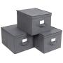 SONGMICS Set of 3 Foldable Storage Boxes with Lids, Fabric Cubes with Label Holders, Storage Bins Organiser, 11.8