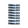 Picture Hanging Kit with Hooks, Nails, Sawtooth Hangers, Screw Eyes, and Wire