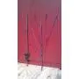 Backyard garden Bird-feeder Hanger Birdhouse (Bottle tree style) Made in USA- NEW 2019 -FREE SHIP