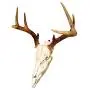 Skull Hanger Original