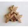 Ukulele Wall Mount Hanger, Plumeria, Tropical Art