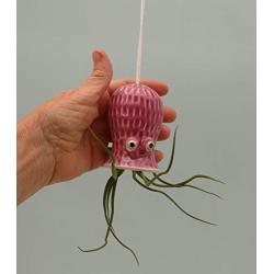 Small Hanging Octopus Air Plant Hanger
