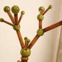 HL-TD Solid Wood Coat Rack Free Standing Tree Hanger Vertical Bedroom Clothes Rack for Livingroom Simple