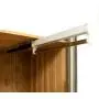 Cabinet Pull Out Clothes Hanger Rod Extendable Closet Rod Adjustable Wardrobe Clothing Rail Closet Organizer Rack (Size : 400mm) Cabinet Pull Out Clothes Hanger Rod Extendable Closet Rod Adjustable Wardrobe Clothing Rail Closet Organizer Rack (Size : 400mm)