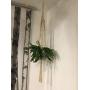 Macrame plant hanger, macrame hanging basket, large macrame hanging, home décor, hanging plants, indoor plant hanger, macrame wall hanging