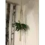 Macrame plant hanger, macrame hanging basket, large macrame hanging, home décor, hanging plants, indoor plant hanger, macrame wall hanging Macrame plant hanger, macrame hanging basket, large macrame hanging, home décor, hanging plants, indoor plant hanger, macrame wall hanging