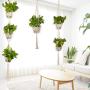 MerryNine Macrame Plant Hangers Set of 5 Indoor Wall Hanging Planter Basket Flower Pot Holder Boho Home Decor