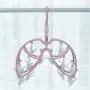 Clothes Drying Rack - Butterfly Clothing Racks - Laundry Portable Clothesline Includes 24 Metal Clothespins Hanger Clips Set - Baby Clothes Storage Closet - Herb Hanging Air Dryer (Pink) Clothes Drying Rack - Butterfly Clothing Racks - Laundry Portable Clothesline Includes 24 Metal Clothespins Hanger Clips Set - Baby Clothes Storage Closet - Herb Hanging Air Dryer (Pink)