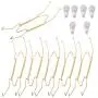 6 Pieces 8" Plate Hangers Invisible Wall Plate Hanger Spring Style Invisible Plate Tray Display Hanger Holds Decorative Plate Hanger 7.5" to 8.5" Plate, Golden-Color