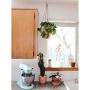 Plant Hugger Leather Plant Hanger with Brass Accents.