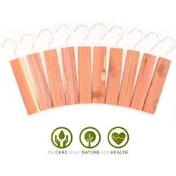 JJEcommUS Large Cedar Hang Ups Set - 10 Cedar Hangers | Cedar Blocks for Clothes Storage | 100% Natural Fragrance Deodorizer