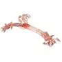TOPBATHY 10PCS Anti-Slip Clothes Hangers Thickened Undewear Hanger Clip Hangers for Home Shop (Rose Gold)