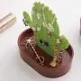Jewelry Display Stand Cactus Ring Holder Necklace Earring Hanger For Home Decoration Birthday Wedding Festival Gifts Jewelry Display Stand Cactus Ring Holder Necklace Earring Hanger For Home Decoration Birthday Wedding Festival Gifts
