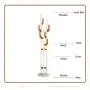 GGYDD Enterway Metal Coat Rack Stand, Free Standing Coat Tree Has Hanger Holder with 6 Beech Wood Hooks for Clothes Has Bag-a 36x182cm(14x72inch)