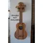 Tropical Ukulele Wall Mount Hanger, Carved Hawaiian Honu, Luau Party Decor