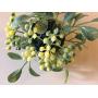 Mistletoe kissing Ball / 5 inches in diameter/Synthetic mistletoe with green and white berries/Birthday decoration/Ceiling hanger/Kissing decor/Seasonal decor/Sweetheart gift