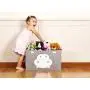 Katabird Storage Bin for Toy Storage - Large - Collapsible Chest Boxes Toys Organizer with Lid for Kids Playroom, Nursery, Baby Clothing, Children Books, Stuffed Animal, Gift Baskets