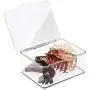 mDesign Stackable Bathroom Hair Accessory Countertop Storage Organizer Boxes with Hinged Lid for Makeup, Beauty, Hair, Nail Supplies - 4 Pack - Clear
