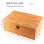 MonsterStash Boxes Large Storage Humidor ? Handmade Premium Bamboo | Includes Smell Proof Jar, Removable Tray, Lockable Design | Organize with Style