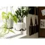 Leather Plant Hanger - boho indoor modern plant pot holder macrame hanging basket for large and small plants Scandinavian decor jungalow hanging planter shelf hammock Leather Plant Hanger - boho indoor modern plant pot holder macrame hanging basket for large and small plants Scandinavian decor jungalow hanging planter shelf hammock