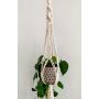 Macrame Plant Hanger / Hanging Plant Holder / Double Twist / Plant Lover Gift / Housewarming Gift / Natural White / Dorm Decor