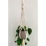 Macrame Plant Hanger / Hanging Plant Holder / Double Twist / Plant Lover Gift / Housewarming Gift / Natural White / Dorm Decor Macrame Plant Hanger / Hanging Plant Holder / Double Twist / Plant Lover Gift / Housewarming Gift / Natural White / Dorm Decor