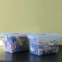 Doryh 5 L Plastic Storage Bin with Lid, Clear Transparent Boxes with Handles Set of 6
