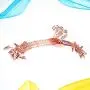 TOPBATHY 10PCS Anti-Slip Clothes Hangers Thickened Undewear Hanger Clip Hangers for Home Shop (Rose Gold)