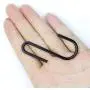 12 Pieces Heavy Duty Premium S Hooks Black S Shaped Hooks Hanging Hangers Hooks for Kitchen, Bathroom, Bedroom and Office: Pan, Pot, Coat, Bag, Plants(Black/2.3 inch)