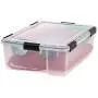 IRIS WEATHERTIGHT Storage Box, 2 Pack, Clear