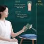 Professional Micro Steam Iron Portable Mini Ironing Machine Handheld Household Steam Iron Hanging Ironing Suitable for Home or Travel