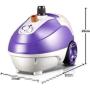 HWZXBCC 1700W，Steam Iron, Household Handheld Steam Irons, Hanging Ironing Machine, Hanging Vertical Small Electric Iron, Adjustables Ironing Machine, Used for Various Fabric Cloth, Purple