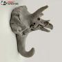 PANDA SUPERSTORE 3pcs Lifelike Dinosaur Fossils Skeleton Resin Wall Hooks Kids Room Decor Hooks for Key Coat Hanger