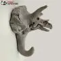 PANDA SUPERSTORE 3pcs Lifelike Dinosaur Fossils Skeleton Resin Wall Hooks Kids Room Decor Hooks for Key Coat Hanger PANDA SUPERSTORE 3pcs Lifelike Dinosaur Fossils Skeleton Resin Wall Hooks Kids Room Decor Hooks for Key Coat Hanger