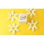 Space Saving Hangers Connector Hooks, Hanger Organizer, Cascading Clothes Hanger Hooks Connector, White Color, Set of 24pcs, Gift Package