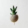Hanging planter/Macrame plant hanger/Beige Felt planter/air plant vase/modern home decor/CHOOSE YOUR COLOR