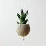 Hanging planter/Macrame plant hanger/Beige Felt planter/air plant vase/modern home decor/CHOOSE YOUR COLOR