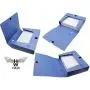 H&W 3 Pack, A4 Storage Archives Cases File Boxes Plastic with Lid, Boxes File, Height 35 55 75mm, Blue (WG3-Z1)