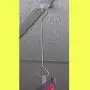 6" L Metal Double C Hooks - Ceiling Sign Holder/Ceiling Item Hangers - 40 Pack 6" L Metal Double C Hooks - Ceiling Sign Holder/Ceiling Item Hangers - 40 Pack